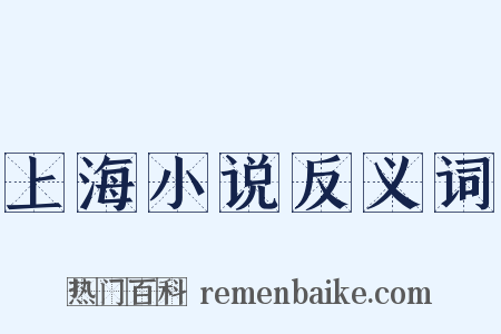 上海小说反义词是什么意思的图片